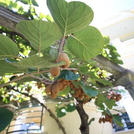 Lilian דירה בודווה